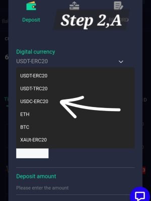 WhatsApp Image 2024-08-01 at 12.18.03 AM (2)